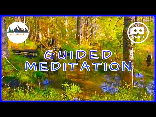 EXPLORE the magic pond of CONSCIOUSNESS ✨ VR180 guided MEDITATION