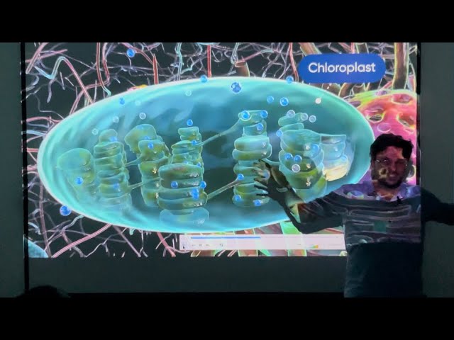 Photosynthesis (Autotrophic Nutrition) ||Lec 3