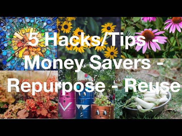 "5 Money-Saving Hacks,  Tips, & Upcycling Projects to Try!! 🌱✨🌿