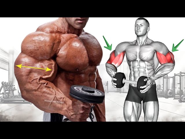 6 Exercises For Big Arms ( Arm Workout With Dumbbells ) Bicep And Tricep Exercises