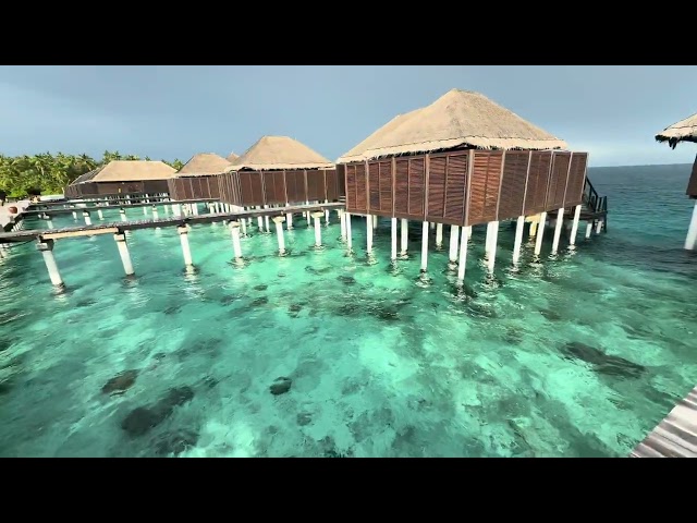 Coco Bodu Hithi, Maldives. Escape Water Villa.