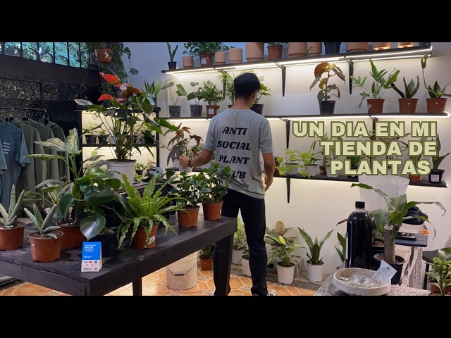 Un Día en Mi Tienda de Plantas - Vlog