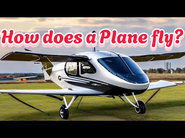 HOW DOES A PLANE ACTUALLY FLY? FORCES AND PRINCIPLES BEHIND FLYING | MEHMET YAYLA | Prof. InnovateX