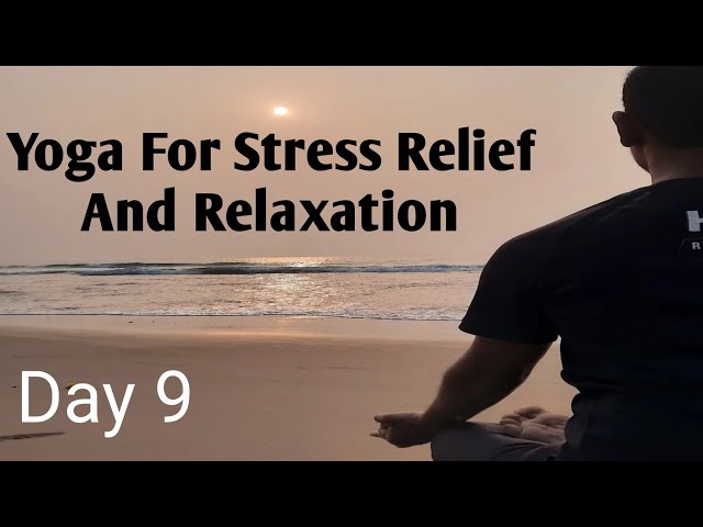 20 Minutes Yoga For Stress Relief and Relaxation | Yoga Challenge Day 9 | Yoga Beginners