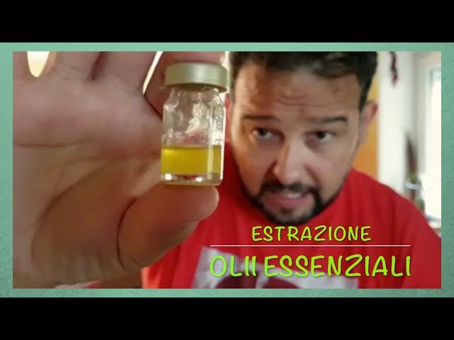 ESTRAZIONE OLIO ESSENZIALE Menta