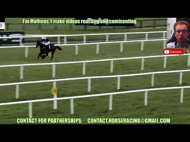 Kopek Des Bordes wins at Fairyhouse Mar, 31 2024 Horse Racing RESULTS Bet