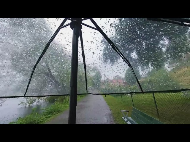 Virtual Walk in the Rain with Umbrella VR180 binaural sound