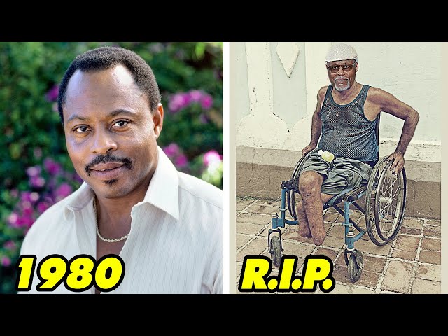 Magnum, P.I. (1980–1988) After 45 Years, The Tragic Fates of the Cast in 2025!