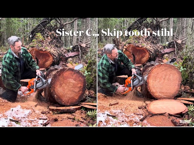 Testing Hand filing Full Comp Vs Skip tooth chain