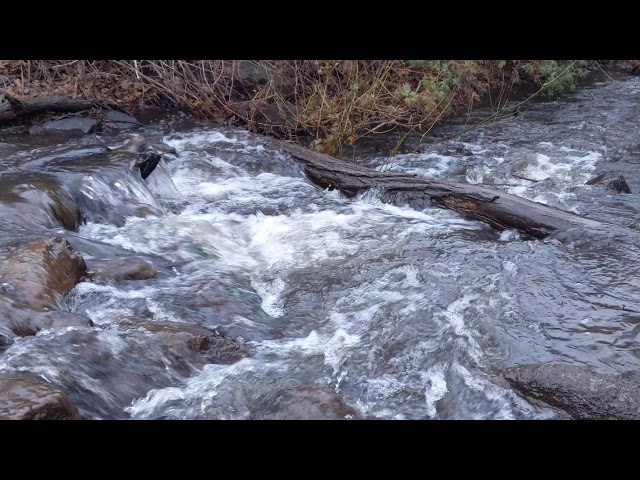 a babbling brook