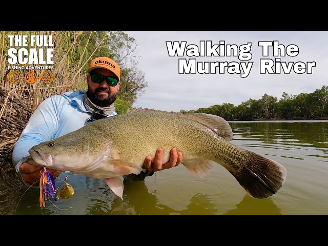 Walking The Murray River | The Full Scale