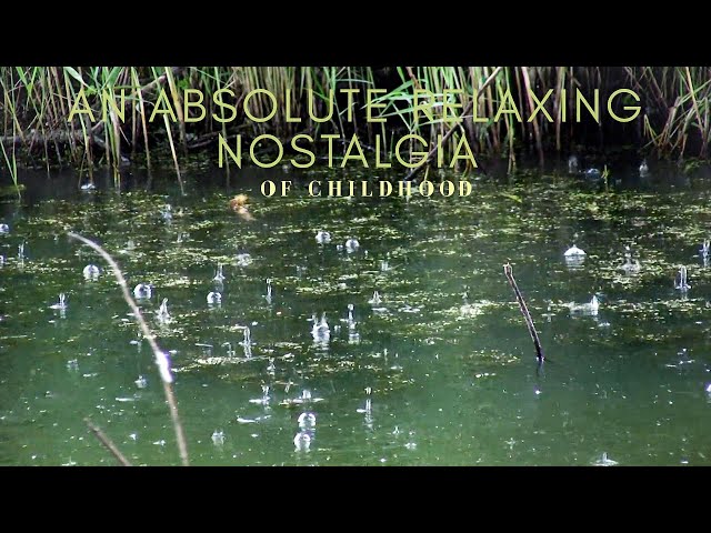 Relaxing Natural Nostalgia - [Natural sound] | Raindrops | Bubbles | pond [Relaxing sounds]