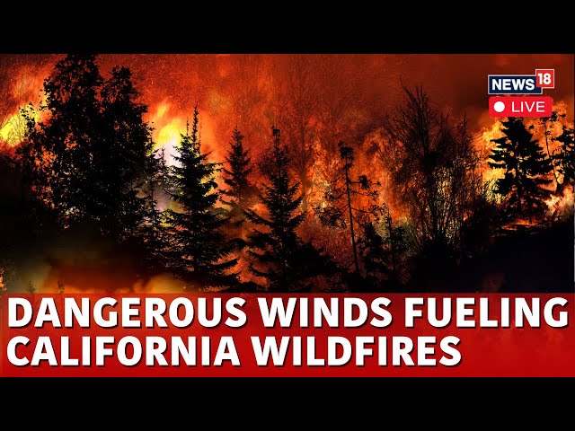 LA Fire 2025 LIVE Updates | California Wildfire LIVE | California Fire | Los Angeles News | N18G