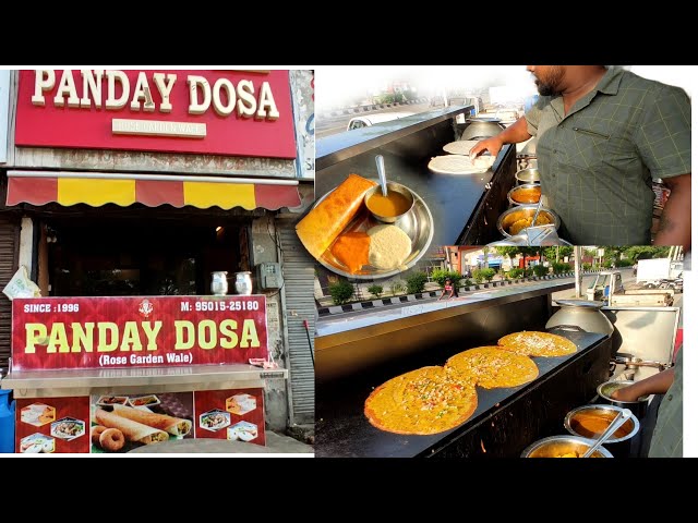 Ludhiana's oldest  & famous dosa wala Pandey dosa #dosa #ludhiana #pandeydosa #bitnbite #masaladosa