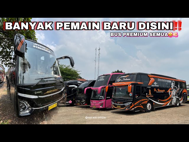 KONDISI TERMINAL BUS PARUNG SEKARANG‼️|| BANYAK PEMAIN BARU DAN BUS PREMIUM🤩🫵🏻 #busmania #hunting