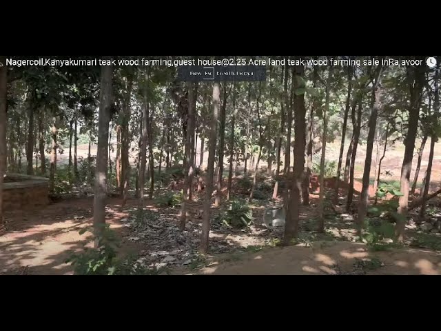 Nagercoil,Kanyakumari teak wood farming,guest house@2.25 Acre land teak wood farming sale inRajavoor