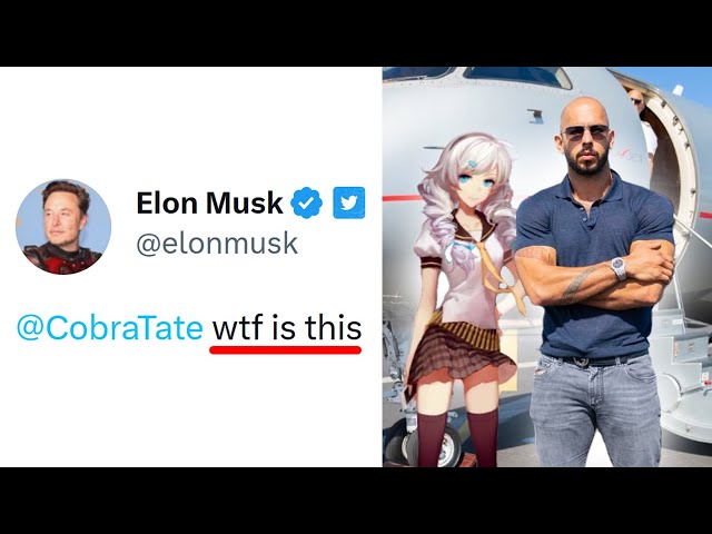 Elon Musk Trolled Andrew Tate