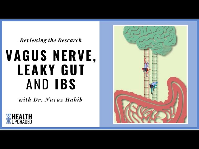 Vagus Nerve, Leaky Gut and IBS - Reviewing the Research