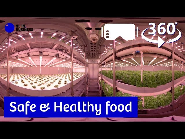 Virtual Gateway NL- 360 VR Video Safe & Healthy food