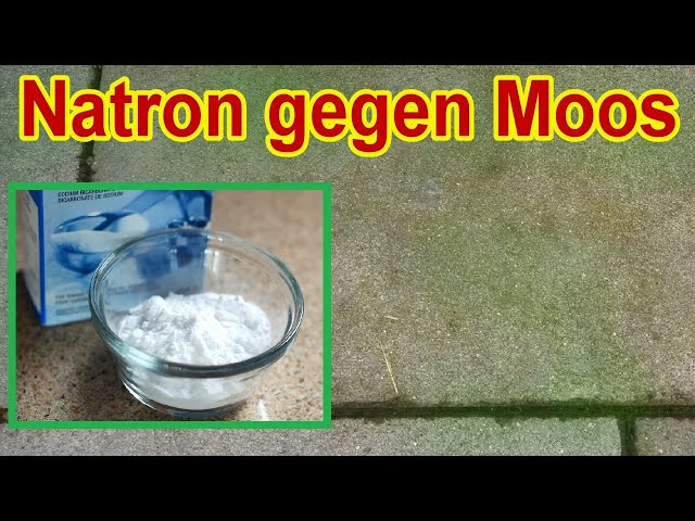 Natron gegen Grünbelag 😮 Wie du mit Backpulver Moos auf Pflastersteinen effektiv entfernst!