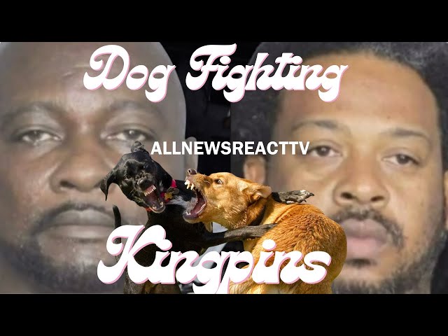 South Florida #1 Dog Fighter and trainer goes down for Dog fighting with more than 30 Dogs.