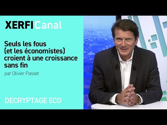 Seuls les fous (et les économistes) croient à une croissance sans fin [Olivier Passet]