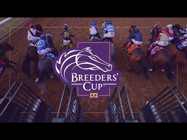 Breeders’ Cup 2020 | Live 360° VR | Friday Nov. 6