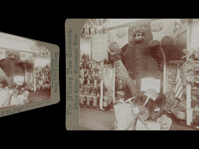 Bear of Prunes, St Louis World's Fair, 1904 (silent, still image)