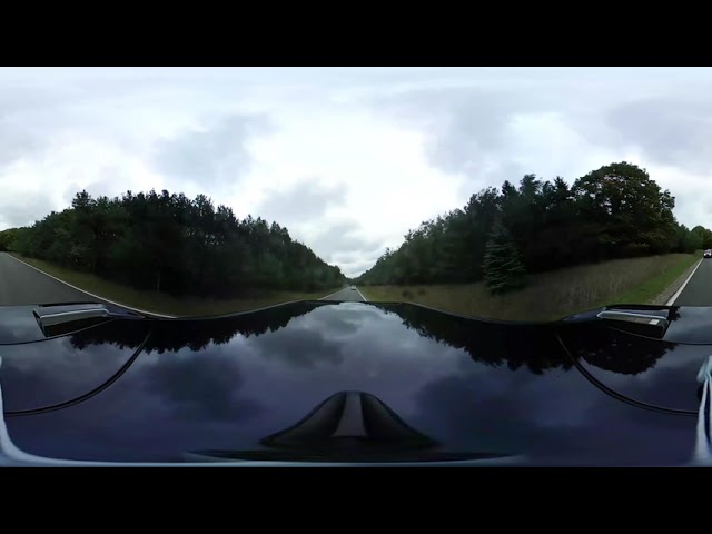 Solar Rally 2019 - Tunnel of Trees