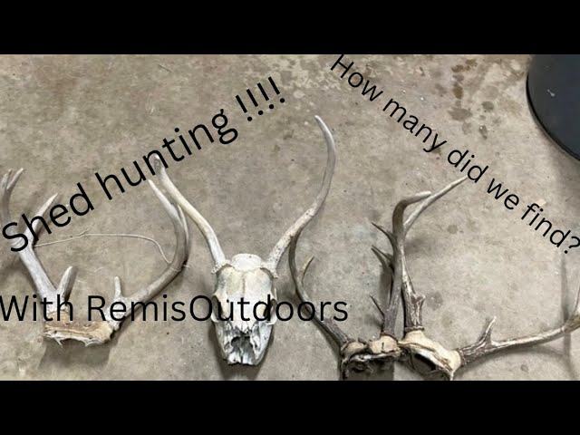 Shed hunting!!! (With @RemiOutdoors ) #subscribe#jesus#LilysOutdoors#outdoors#fyp#deer#like#funny