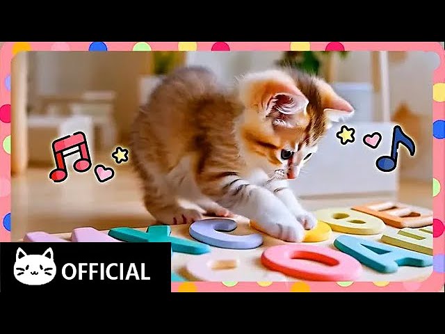 [Cat Song] ABC Dance Party! 🅰️🅱️🅾️ | Soothing Sounds for Relaxation 🎶