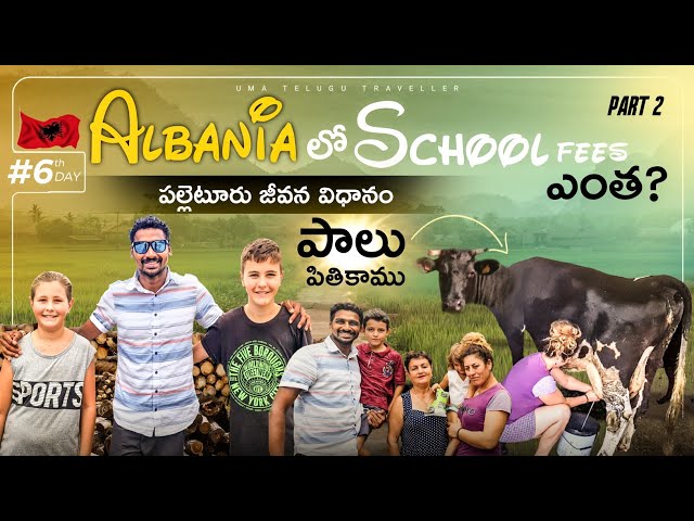 Village life style in Albania 🇦🇱 Part 2 | Cows 🐄 | Uma Telugu Traveller