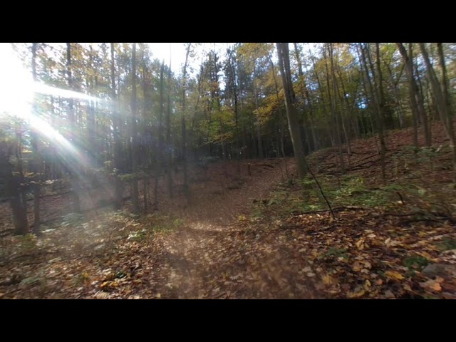 VR180 Walker's Woods in October