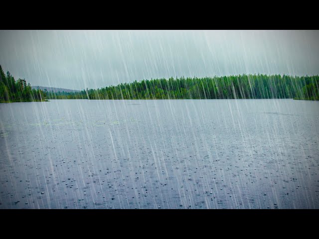 INSTANT RELAX & SLEEP with HEAVY RAIN Pouring on Lake | Rain Sounds ASMR