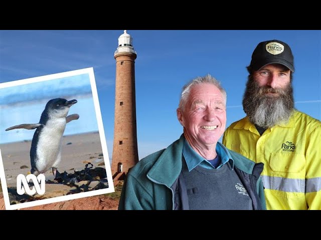 Leo the lighthouse keeper hands over keys to Gabo Island after 25 years on watch 💡 ⛯ | ABC Australia