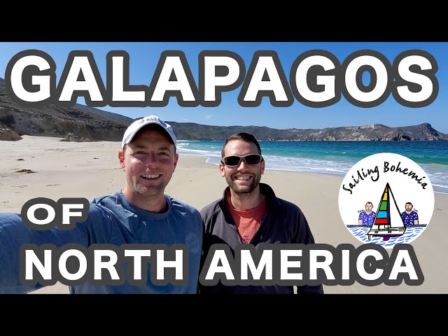 THE GALAPAGOS OF NORTH AMERICA! Ep.3 - Sailing California Channel Islands