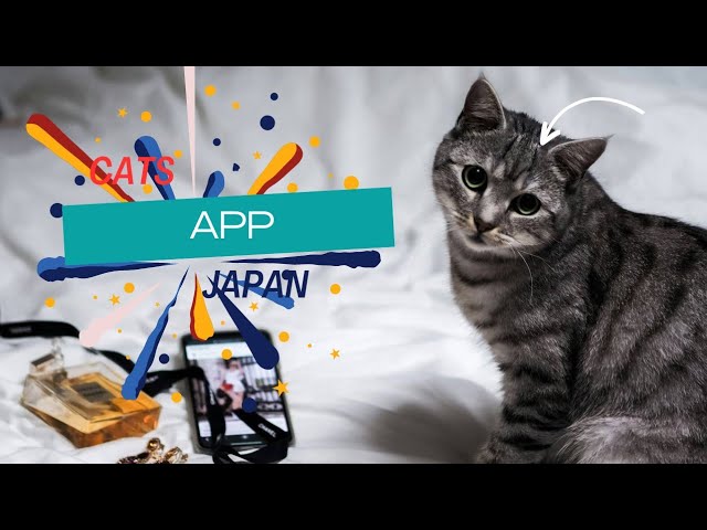 CatsMe! App Revolutionizes Cat Care in Japan! Discover the Future of Pet Health with AI