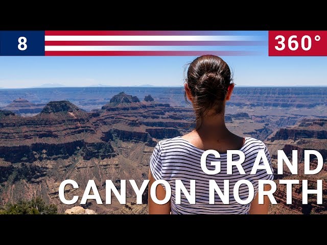 360 VR - Grand Canyon North Rim - Best road trip in USA