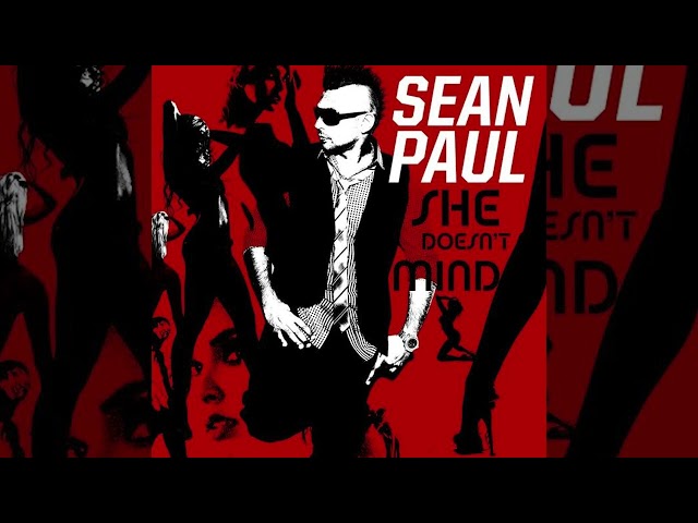 Sean Paul - She Doesn't Mind (Zusebi Remix) | DOLLARMAN Best Remix 2024