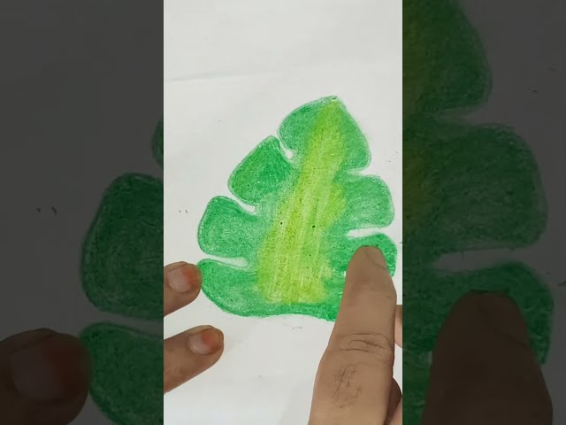 Easy Leaf Drawing #art #drawing #oilpastel @JannatCraftingAndArt @MrBeast @cizimhobimiz