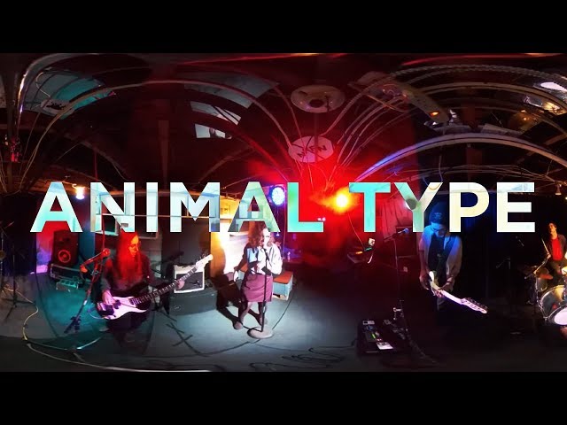 Animal Type | EP 16 | Basement Sessions