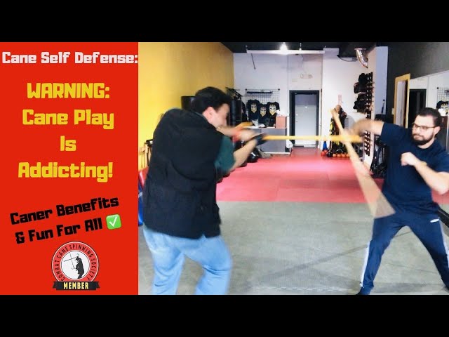 Cane Self Defense: WARNING-Cane Play Is Addicting!