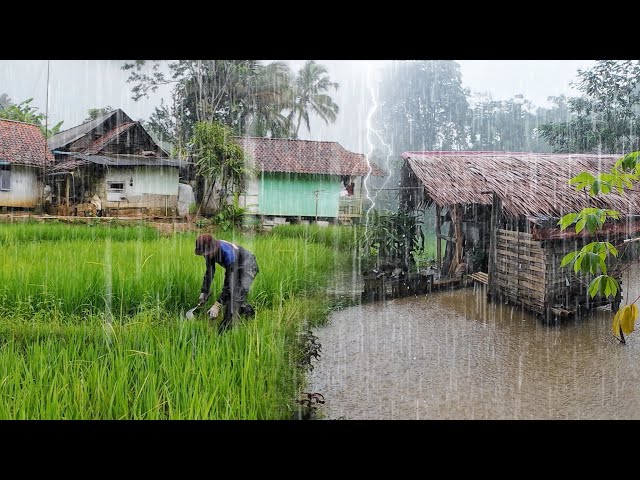 Seram Banget !!, Tapi Bikin Betah Hujan Deras Di Kampung Mengguyur Tasikmalaya Selatan Jawa Barat