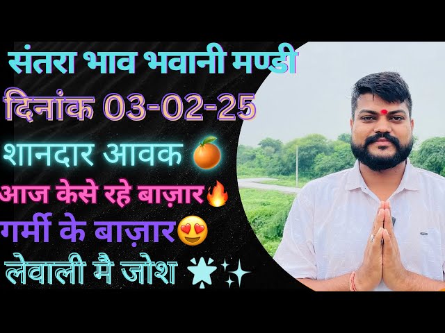 संतरा की शानदार आवक😍 लेवाली मै जोश||भवानी मंडी दिनांक 03-02-25 today orenge rate Bhawanimandi