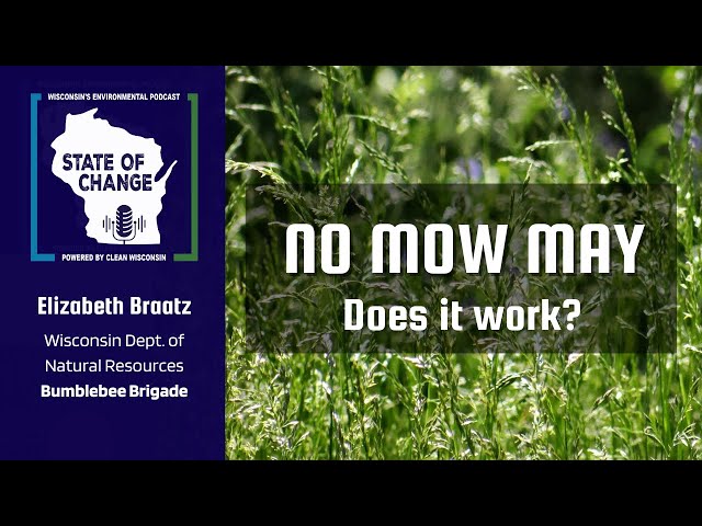 No Mow May: Does it work?