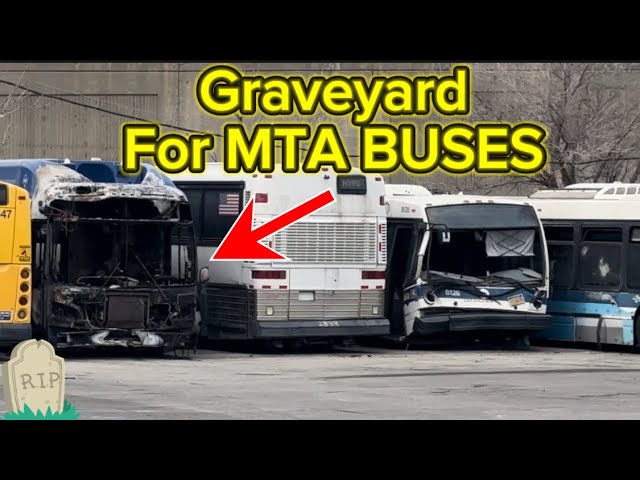 Eastchester Depot: Where Old MTA Buses Go to Die