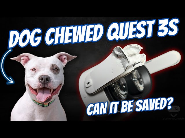 This Quest 3S Was a Dog’s Chew Toy - Let's Fix It!