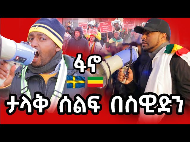 Amhara voice  Sweden Stockholm stop Amhara genocide Nov 16 | ashruka channel