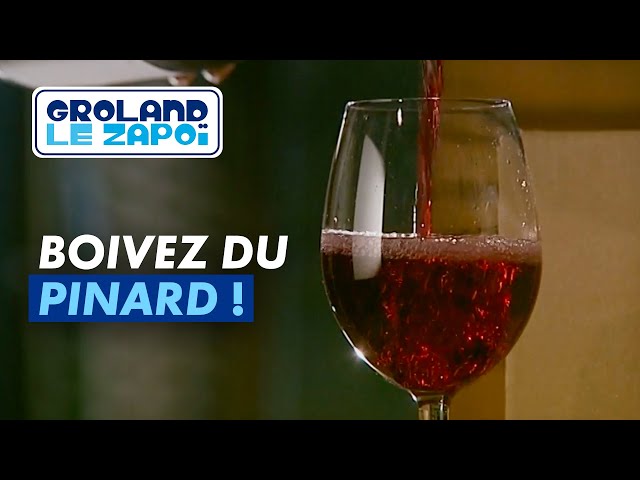 Le vin grolandais - Groland - CANAL+