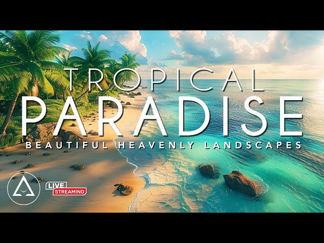 Tropical Paradise DRONE FOOTAGE HD - Beautiful Beach & Island Landscapes Footage HD